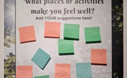 Catch our Wellbeing in the City exhibition – open until 31 Aug!
