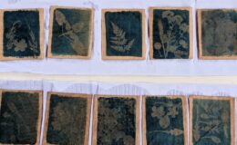 PAGE part of Art Walk Projects’ Spring Cluster event